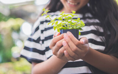 Growing kids’ futures one seed at a time