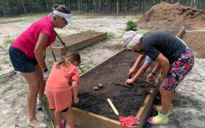 Community helps garden bloom, feed hungry