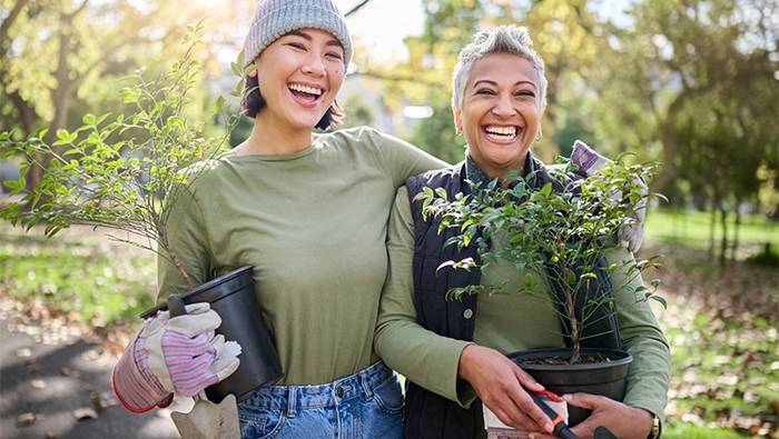 強いコアの兆候