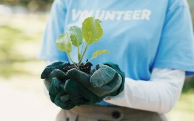 더 많은 친환경 서비스 아이디어